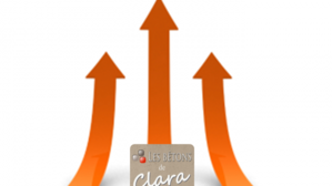autoentrepreneur-reseau-de-franchise-croissance-rapide-evolution-plus-rapide-les-betons-de-clara-reseau-de-partenaire-affilies-specialise-dans-le-beton-cire